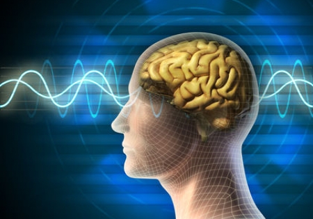 Điện não đồ (EEG)